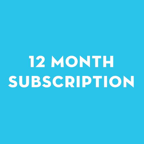 12 Month Plan