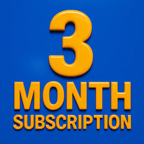 3 Month Plan